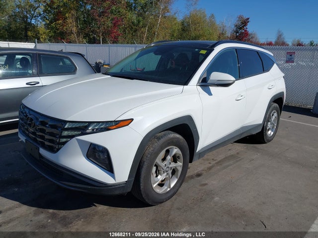 Hyundai Tucson 2024 KM8JCCDE1RU333179 Image 2