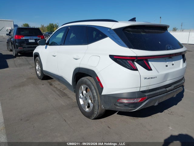 Hyundai Tucson 2024 KM8JCCDE1RU333179 Image 3