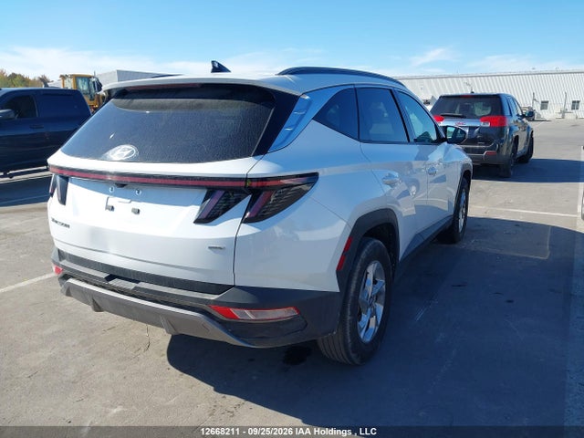 Hyundai Tucson 2024 KM8JCCDE1RU333179 Image 4