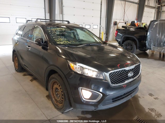 Auction sale of the 2016 Kia Sorento 2.0l Lx+, vin: 5XYPG4A11GG026801, lot number: 12668306