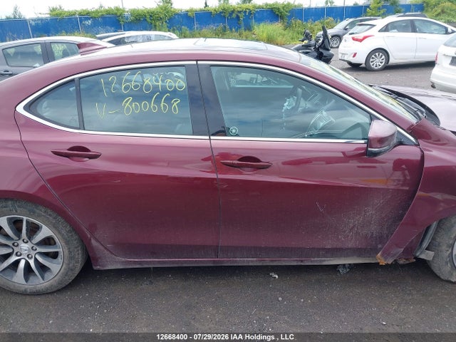 19UUB1F5XGA800668 Acura TLX TECH