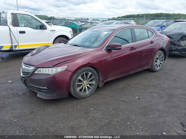 19UUB1F5XGA800668 Acura TLX TECH