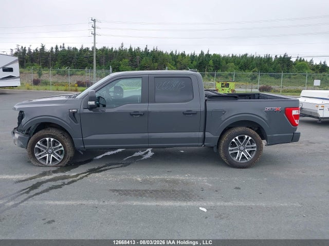 12668413 :رقم المزاد ، 1FTEW1EP6MFC74094 vin ، 2021 Ford F150 Supercrew مزاد بيع