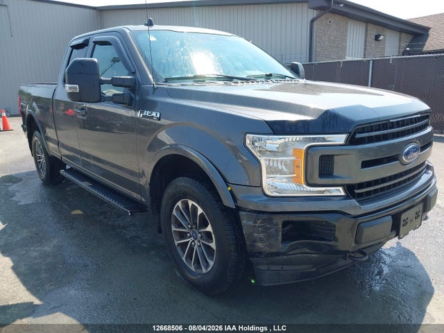 2019 Ford F-150 Xlt მანქანა იყიდება აუქციონზე, vin: 1FTFX1E43KKD07094, აუქციონის ნომერი: 12668506