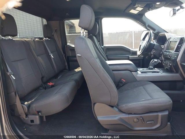 2019 Ford F-150 Xlt მანქანა იყიდება აუქციონზე, vin: 1FTFX1E43KKD07094, აუქციონის ნომერი: 12668506