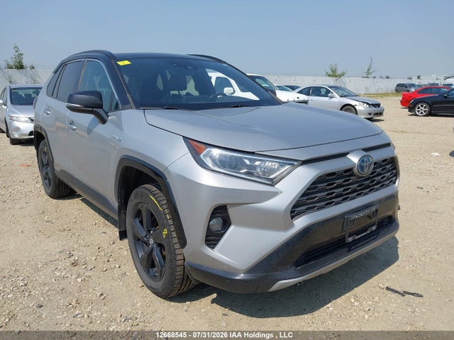 12668545 :رقم المزاد ، 2T3RWRFV1KW001265 vin ، 2019 Toyota Rav4 Hybrid مزاد بيع