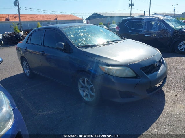 2009 Toyota Corolla S/le/xle მანქანა იყიდება აუქციონზე, vin: 2T1BU40E79C164493, აუქციონის ნომერი: 12668647
