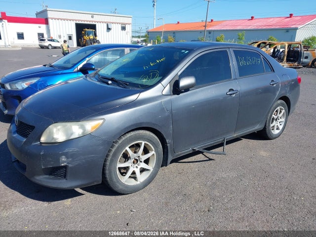 2009 Toyota Corolla S/le/xle მანქანა იყიდება აუქციონზე, vin: 2T1BU40E79C164493, აუქციონის ნომერი: 12668647