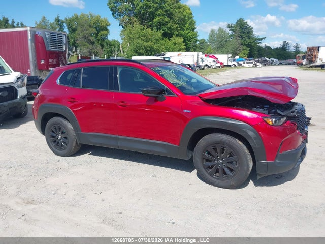2025 Mazda Cx-50 მანქანა იყიდება აუქციონზე, vin: 7MMVAACW5SN116941, აუქციონის ნომერი: 12668705