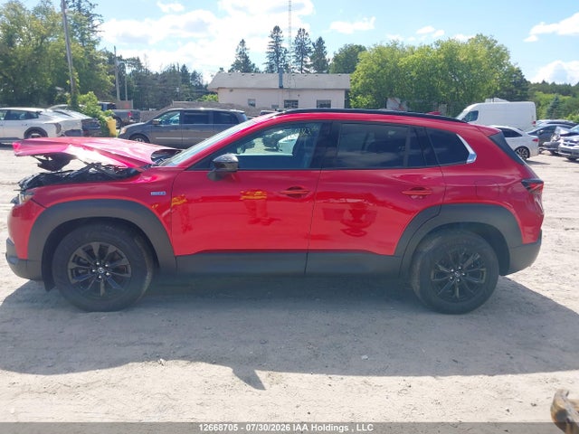 2025 Mazda Cx-50 მანქანა იყიდება აუქციონზე, vin: 7MMVAACW5SN116941, აუქციონის ნომერი: 12668705