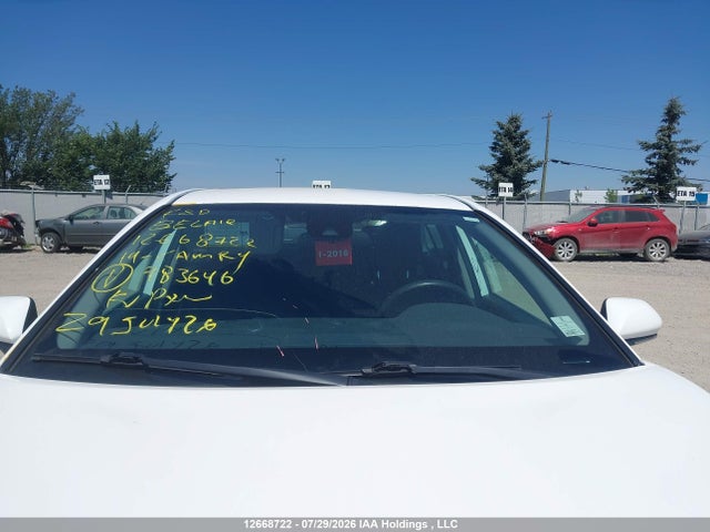 4T1B11HK3KU783646 Toyota Camry L/le/xle/se/xse