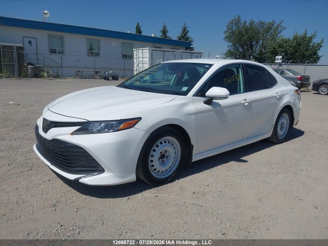 4T1B11HK3KU783646 Toyota Camry L/le/xle/se/xse