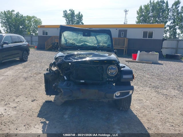Продажа на аукционе авто 2025 Jeep Wrangler Sahara, vin: 1C4PJXEG4SW596367, номер лота: 12668748