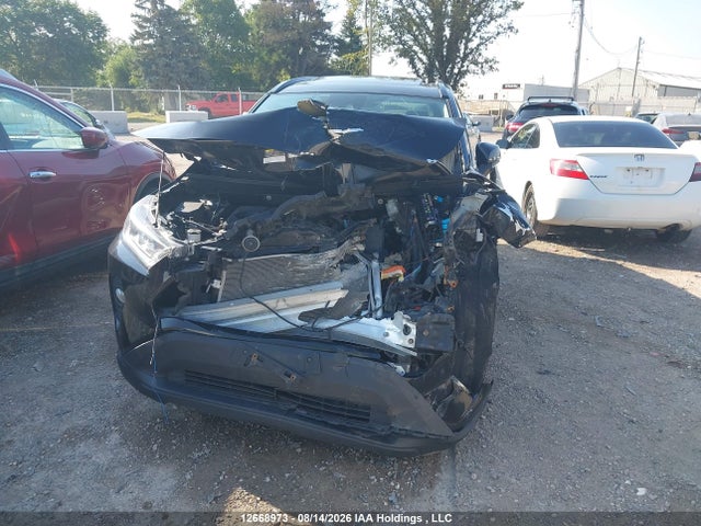 2T3R1RFV7KC030205 Toyota Rav4 Xle/xle Premium