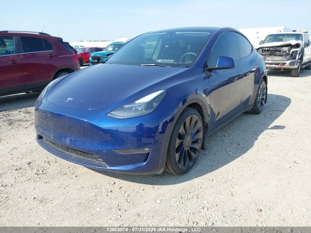 2024 Tesla Model Y Performance მანქანა იყიდება აუქციონზე, vin: 7SAYGDEF4RF053661, აუქციონის ნომერი: 12668974