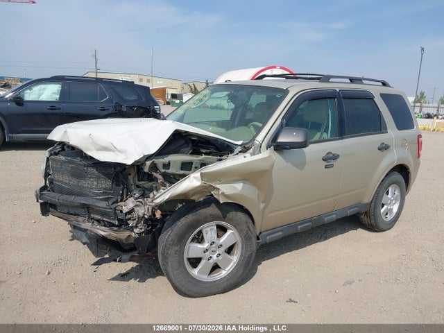 2011 Ford Escape Xlt მანქანა იყიდება აუქციონზე, vin: 1FMCU9DG1BKB49615, აუქციონის ნომერი: 12669001