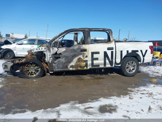 Продажа на аукционе авто 2019 Ford F150 Supercrew, vin: 1FTEW1E16KFD15817, номер лота: 12557023