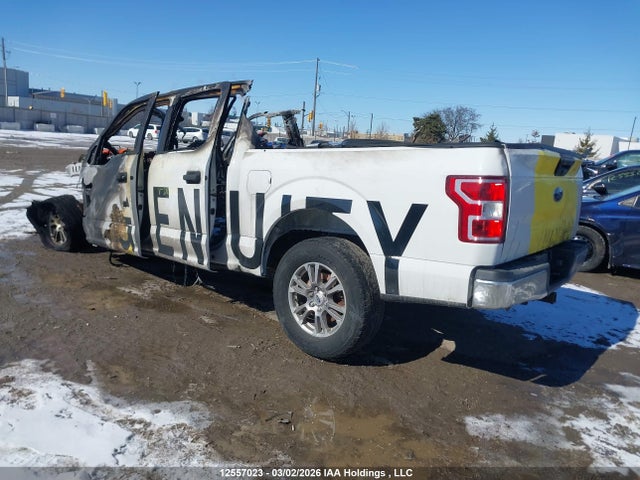 Продажа на аукционе авто 2019 Ford F150 Supercrew, vin: 1FTEW1E16KFD15817, номер лота: 12557023