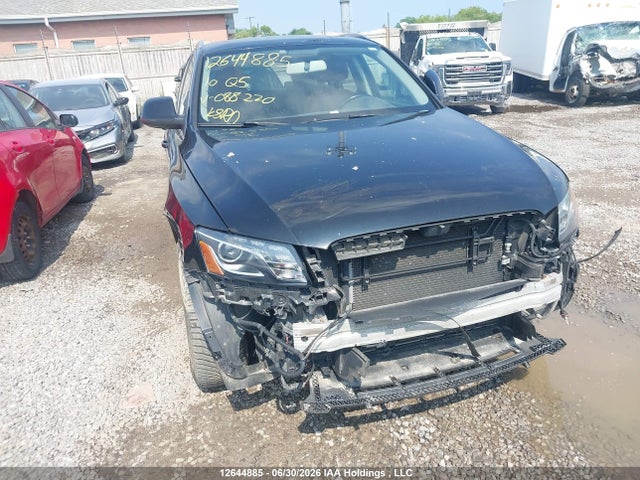 Auction sale of the 2010 Audi Q5 Premium, vin: WA1CKCFP8AA088220, lot number: 12644885