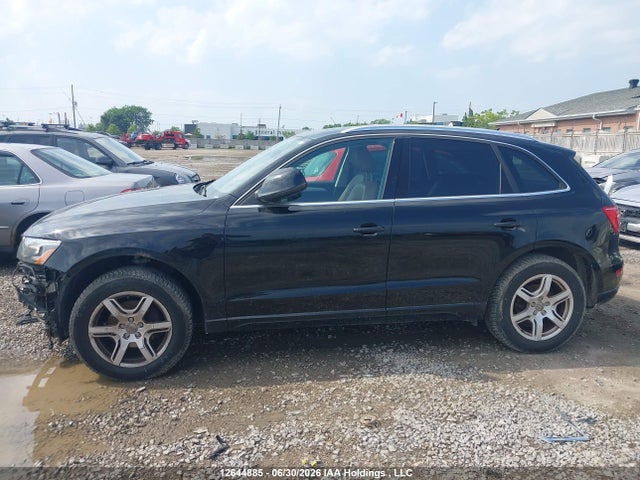 Продаж на аукціоні авто 2010 Audi Q5 Premium, vin: WA1CKCFP8AA088220, номер лоту: 12644885
