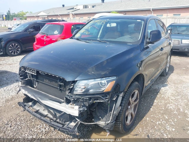 Продаж на аукціоні авто 2010 Audi Q5 Premium, vin: WA1CKCFP8AA088220, номер лоту: 12644885