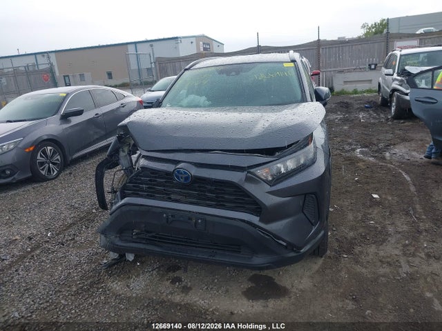 2020 Toyota Rav4 Hybrid Le მანქანა იყიდება აუქციონზე, vin: 2T3BWRFV7LW101230, აუქციონის ნომერი: 12669140