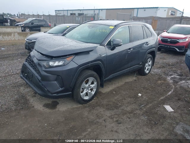 2020 Toyota Rav4 Hybrid Le მანქანა იყიდება აუქციონზე, vin: 2T3BWRFV7LW101230, აუქციონის ნომერი: 12669140
