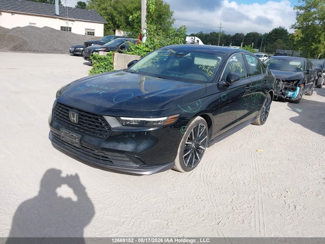 Honda Accord 2024 1HGCY2F87RA800026 Image 2