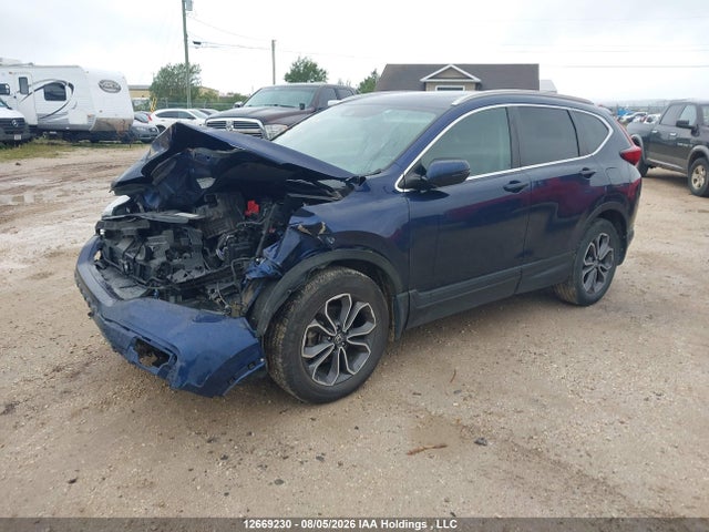 Продаж на аукціоні авто 2020 Honda Cr-v Exl, vin: 2HKRW2H8XLH226582, номер лоту: 12669230
