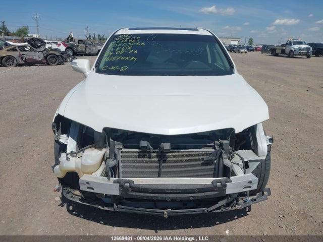 Продаж на аукціоні авто 2013 Acura Rdx, vin: 5J8TB4H5XDL803256, номер лоту: 12669481