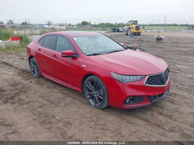 2019 19UUB3F65KA800042 главное изображение