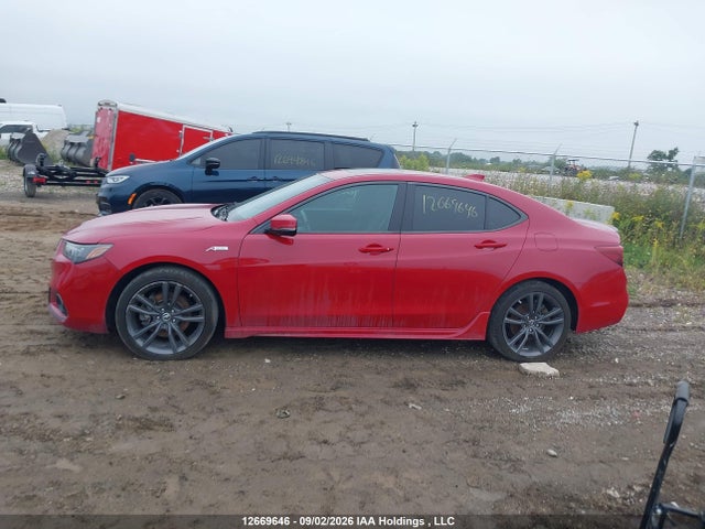 Acura Tlx Technology/a-spec 2019 19UUB3F65KA800042 Image 14