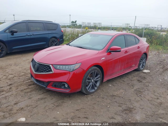 Acura Tlx Technology/a-spec 2019 19UUB3F65KA800042 Image 2