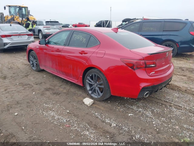 Acura Tlx Technology/a-spec 2019 19UUB3F65KA800042 Image 3