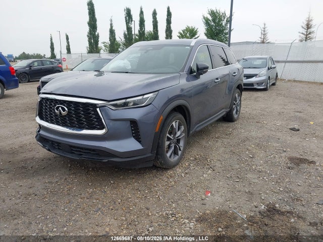 2023 Infiniti Qx60 Luxe მანქანა იყიდება აუქციონზე, vin: 5N1DL1FS8PC331100, აუქციონის ნომერი: 12669687
