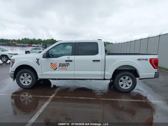 Ford F150 Supercrew 2023 1FTFW1E89PFB74069 Image 13