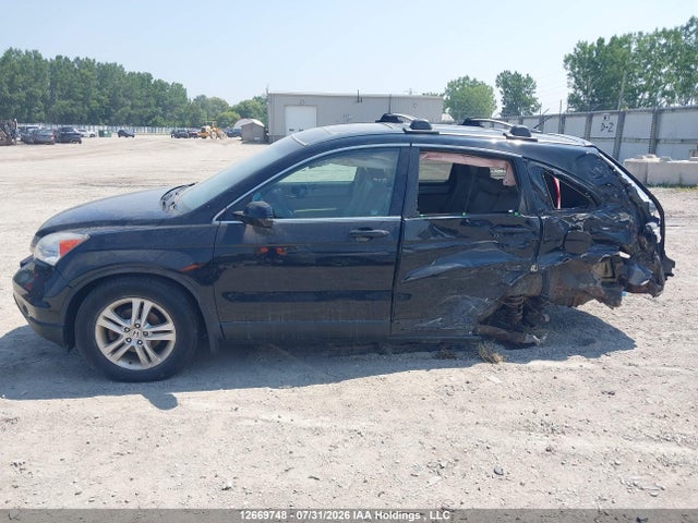 2011 Honda Cr-v Exl მანქანა იყიდება აუქციონზე, vin: 5J6RE4H73BL825317, აუქციონის ნომერი: 12669748