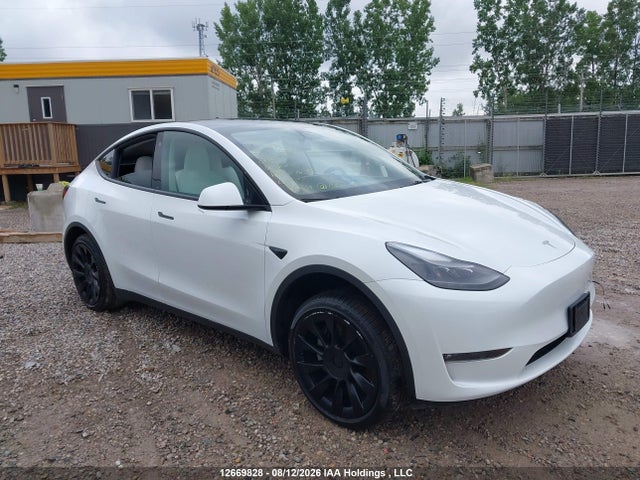 12669828 :رقم المزاد ، 7SAYGDEE5PF777556 vin ، 2023 Tesla Model Y مزاد بيع