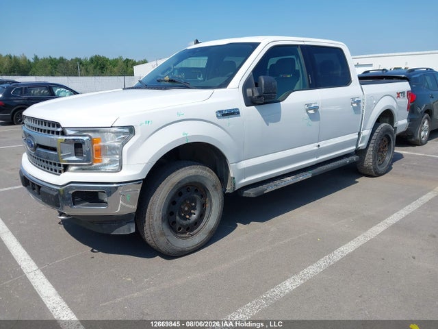 Ford F-150 Xlt 2019 1FTEW1EPXKFA24404 Image 2