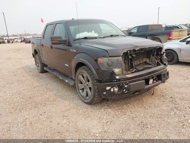 Продажа на аукционе авто 2013 Ford F-150 Fx4, vin: 1FTFW1ET7DFD59012, номер лота: 12660838