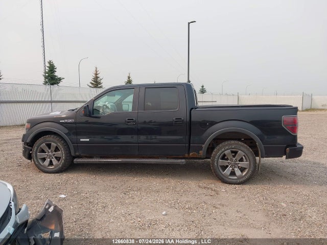 Продажа на аукционе авто 2013 Ford F-150 Fx4, vin: 1FTFW1ET7DFD59012, номер лота: 12660838