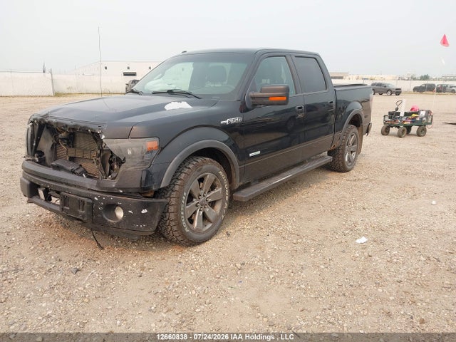 Продажа на аукционе авто 2013 Ford F-150 Fx4, vin: 1FTFW1ET7DFD59012, номер лота: 12660838