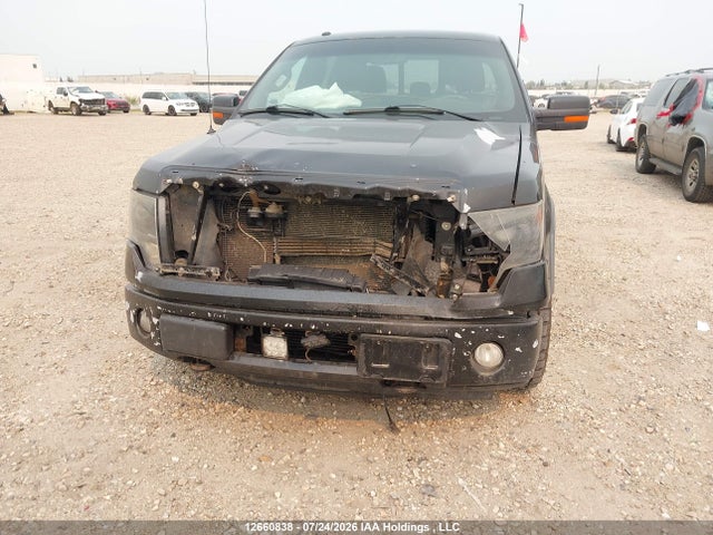 Продажа на аукционе авто 2013 Ford F-150 Fx4, vin: 1FTFW1ET7DFD59012, номер лота: 12660838