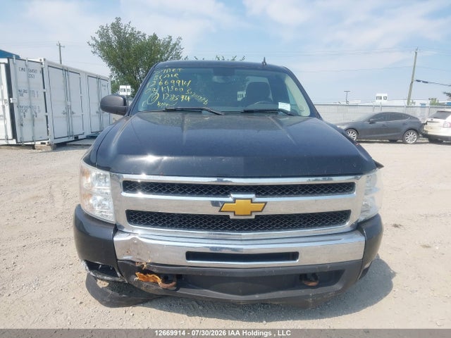2009 Chevrolet Silverado K1500 მანქანა იყიდება აუქციონზე, vin: 1GCEK14079Z138594, აუქციონის ნომერი: 12669914