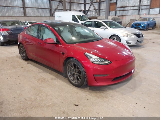 Auction sale of the 2021 Tesla Model 3 Standard Range/standard Range Plus, vin: 5YJ3E1EA0MF853317, lot number: 12669931