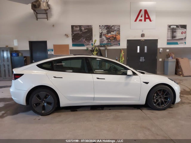 Продажа на аукционе авто 2023 Tesla Model 3 Rwd, vin: 5YJ3E1EA8PF401393, номер лота: 12373199