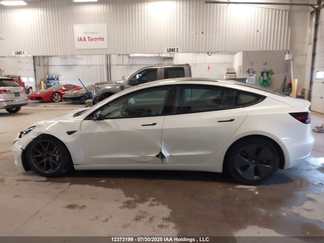 Продажа на аукционе авто 2023 Tesla Model 3 Rwd, vin: 5YJ3E1EA8PF401393, номер лота: 12373199