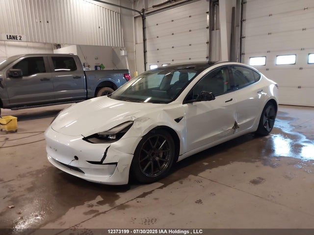 Продажа на аукционе авто 2023 Tesla Model 3 Rwd, vin: 5YJ3E1EA8PF401393, номер лота: 12373199