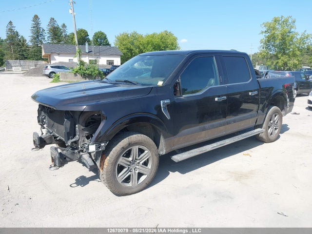 Ford F-150 King Ranch 2021 1FTFW1E56MFB56582 Image 14