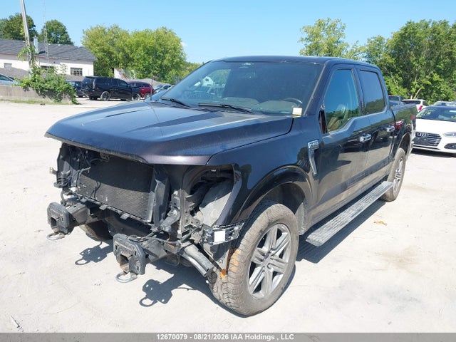 Ford F-150 King Ranch 2021 1FTFW1E56MFB56582 Image 2